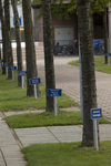 806234 Gezicht op de bomen langs het fietspad bij het Universitair Medisch Centrum Utrecht (U.M.C., Heidelberglaan 100) ...